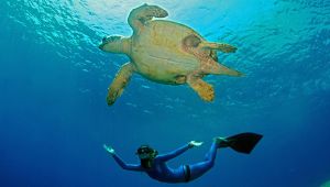 ERCÜMEN'DEN DOĞRU NEFES TEKNİKLERİ