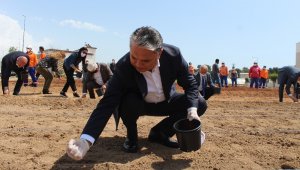 GIDA KRİZİ RİSKİNE KARŞI MISIR EKİMİNE BAŞLADI